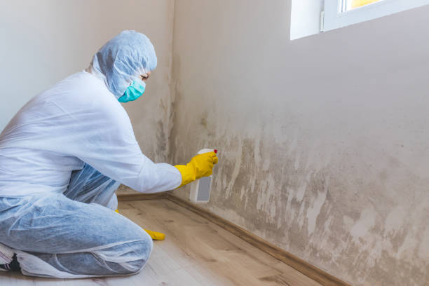 Best Mold Removal for HVAC Installations  in Stiles, PA