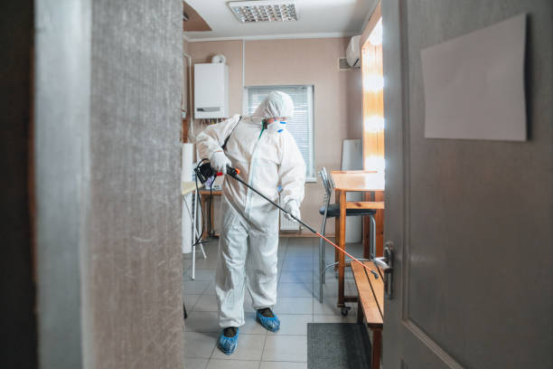 Best Mold Prevention Services  in Stiles, PA