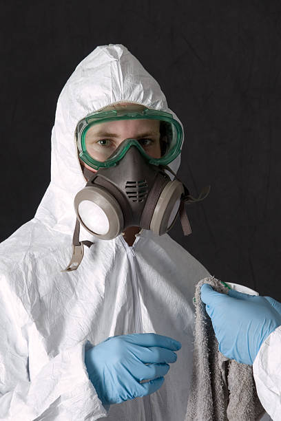 Best Mold Odor Removal Services  in Stiles, PA